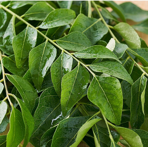 Curry Leaves
