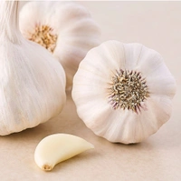 Garlic - Organically Grown