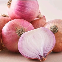 Onion- Orignaically Grown  - Japanese Laurel