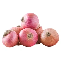 Onion- Orignaically Grown  - Japanese Laurel