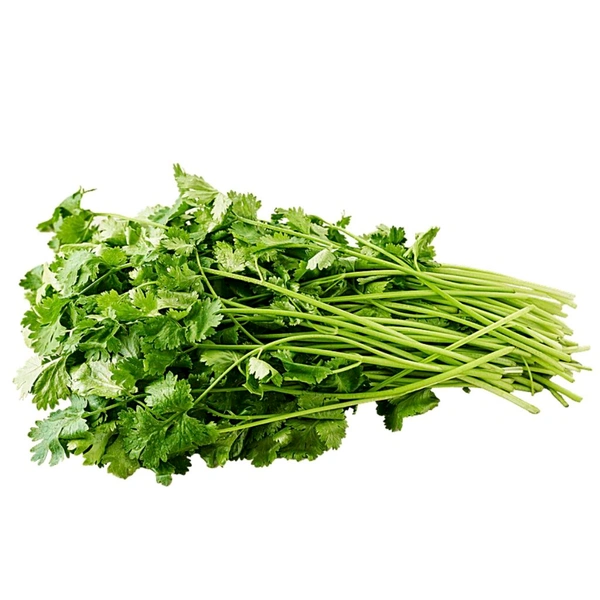 Coriander Leves 100g - Green