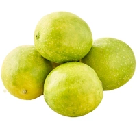 Lemon - Organically Grown - Turbo
