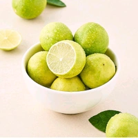 Lemon - Organically Grown - Turbo
