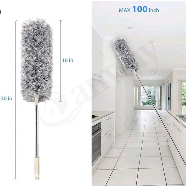 Grey Fan Duster 