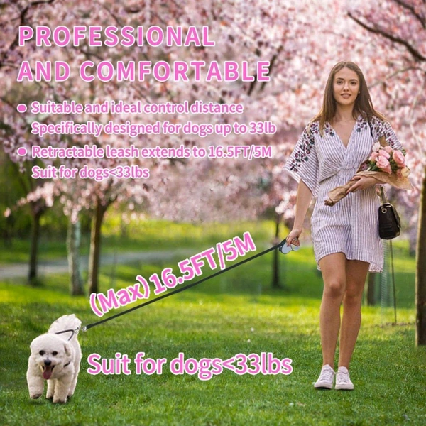 Dog Leash 