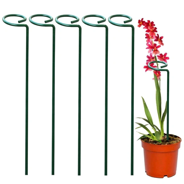 Plant Stick (Pack Of 6)