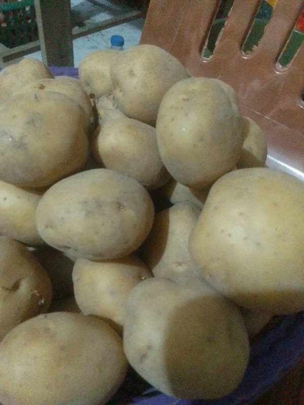 Aloo