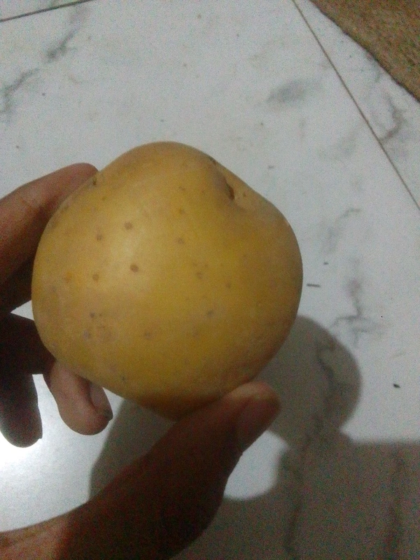 Aloo