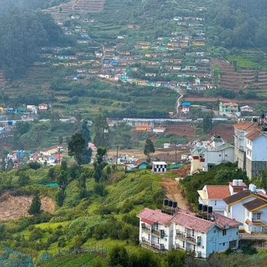 Ooty