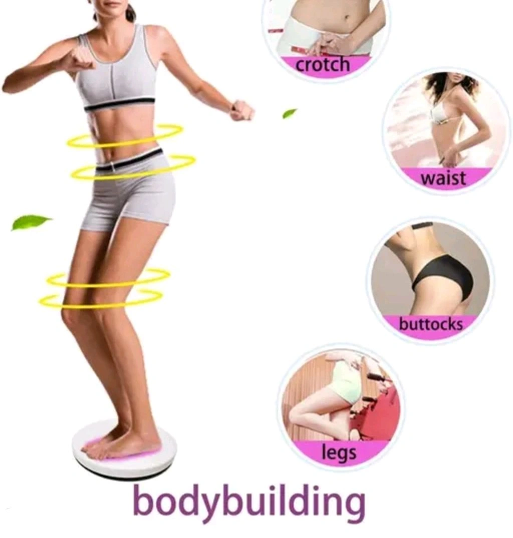 Flaying Sale Plastic Tummy Waist Twister Magnetic Disk Hot