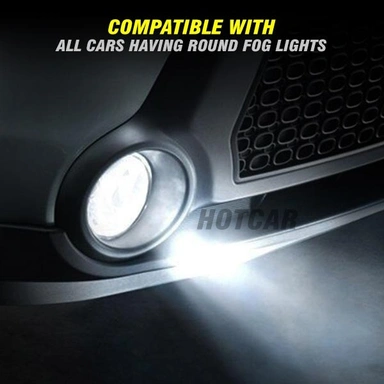 Fog Lamp & Projectors