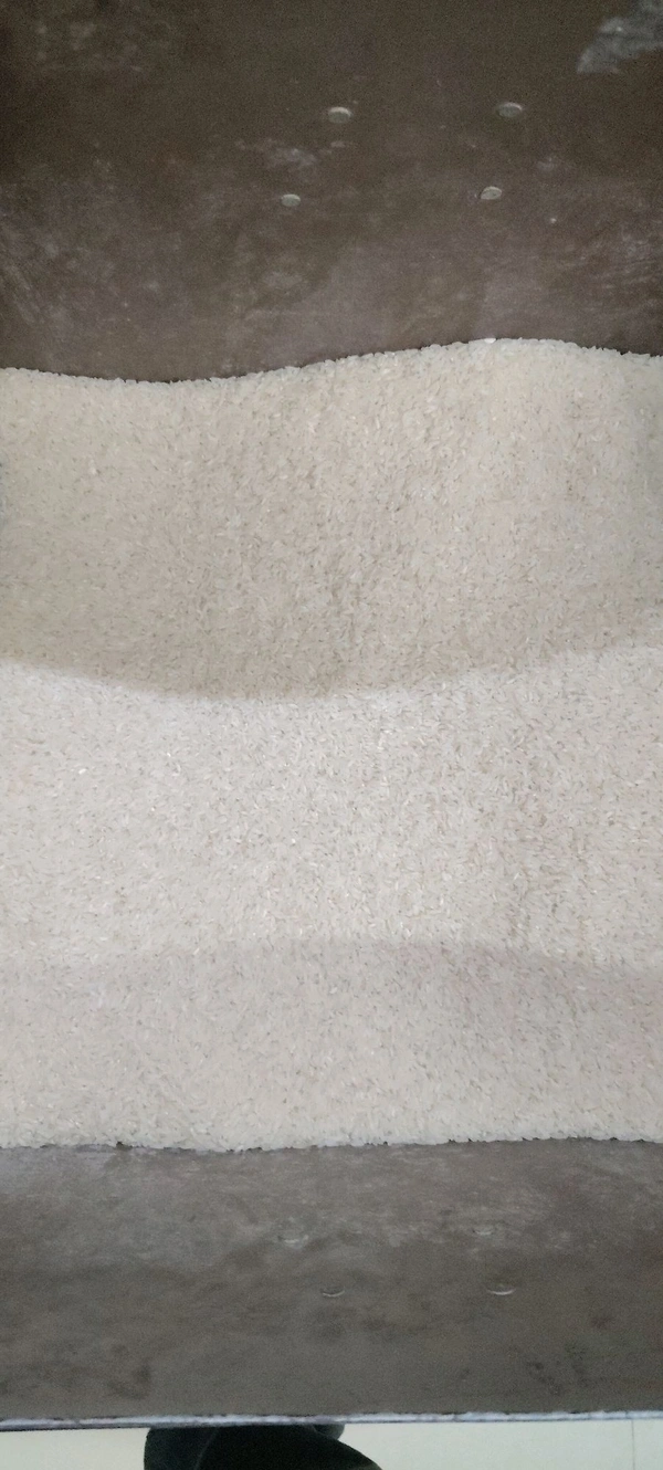 Rice Gj 17