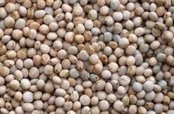 TOOVER WHOLE 500GM