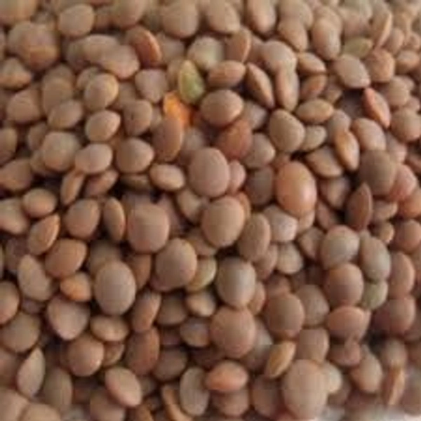 MASUR AAKHA 500GM