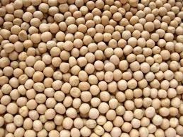 MAZAA YELLO VATANA 500GM