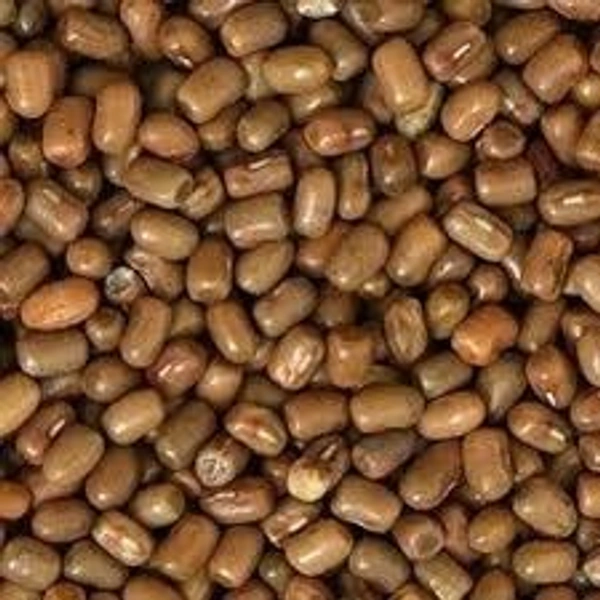 RASOI GHAR 500GM MOTH