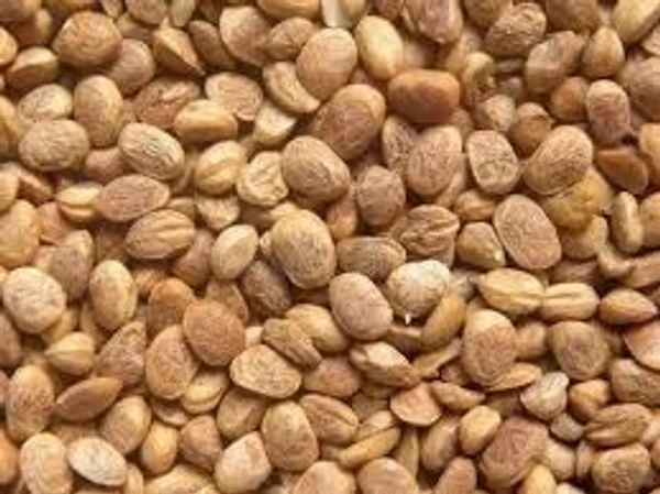 CHAROLI 10GM