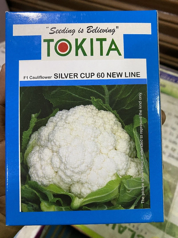 Tokita Seed India Pvt Ltd Cauliflower Silver Cup-60