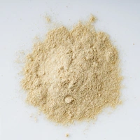 1st Quality Pure Hing Powder - 10gm
