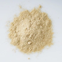 Regular Quality Hing Powder - 20gm