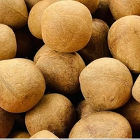 Dry Coconut (Sabut Gari Gola, Dry Copra) - 250gm