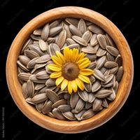 Sunflower Seeds (Surajmukhi Seeds) - 100gm