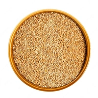 Shudh Chena / Barri Atta (Proso Millet) - 1kg