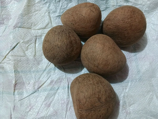 GADI GOLA (DRY COPRA TIPTUR)