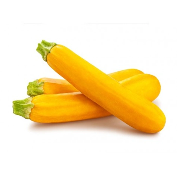 ZUCCHINI YELLOW - 250Gm