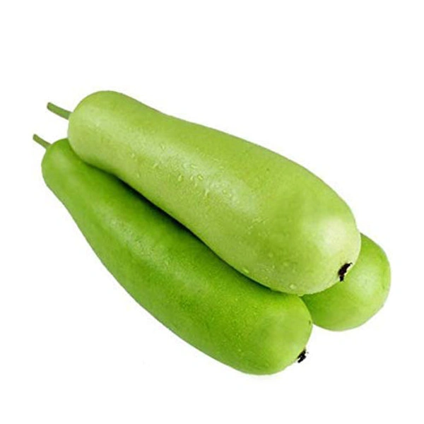 BOTTLE GOURD / LAUKI - 500gm