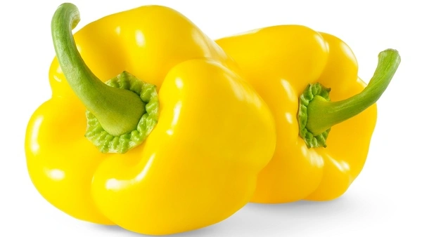 CAPSICUM YELLOW - 500Gm
