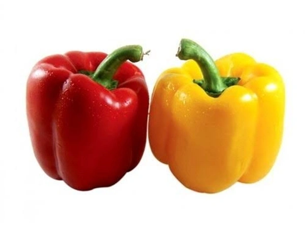 CAPSICUM RED & YELLOW - 1 Each