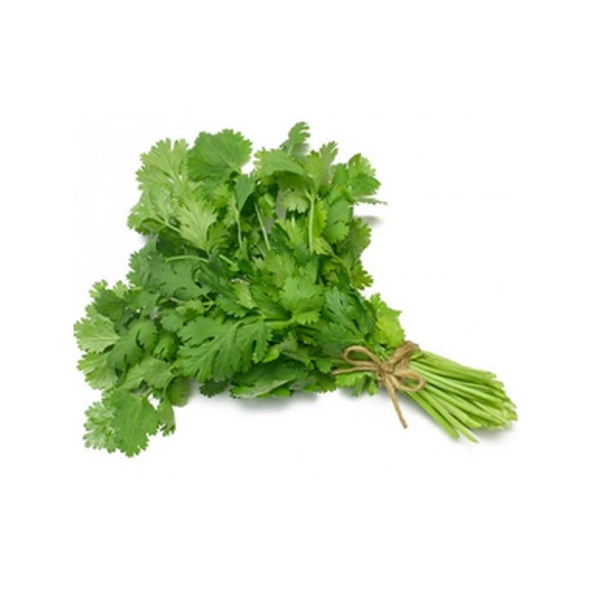 CORIANDER LEAVES/DHANIYA PATTI - 250Gm