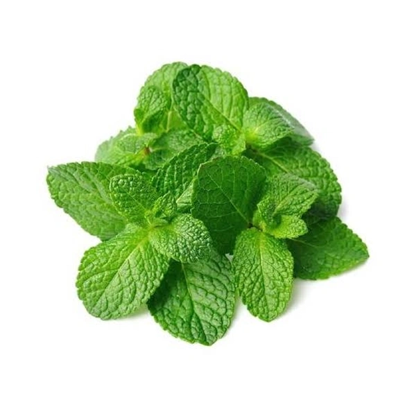MINT LEAVES / PUDINA - 50-100Gm