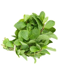 MINT LEAVES / PUDINA - 50-100Gm