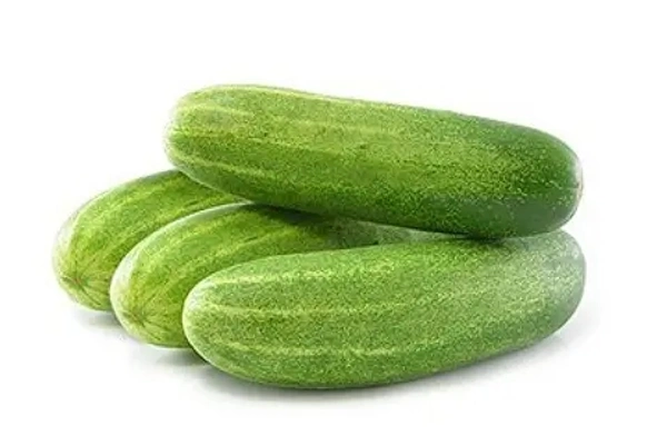 CUCUMBER GREEN / HARA KHIRA - 1Kg