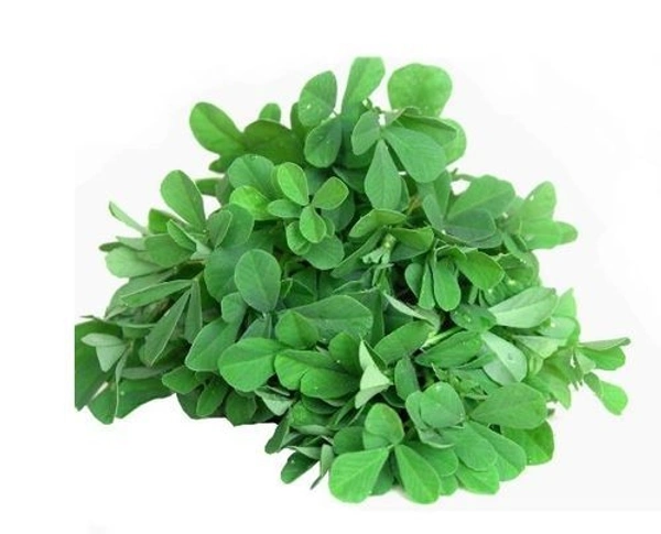 METHI LEAVES - 1Kg