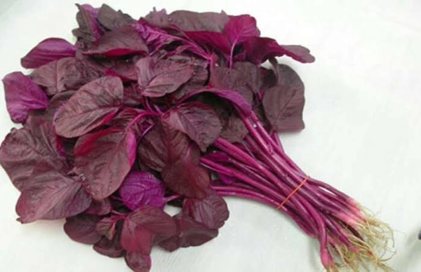LAL BHAJI / LAL SAG / LAL CHAULAI - 250Gm