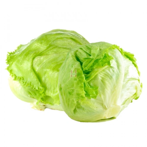 LETTUCE ICEBERG