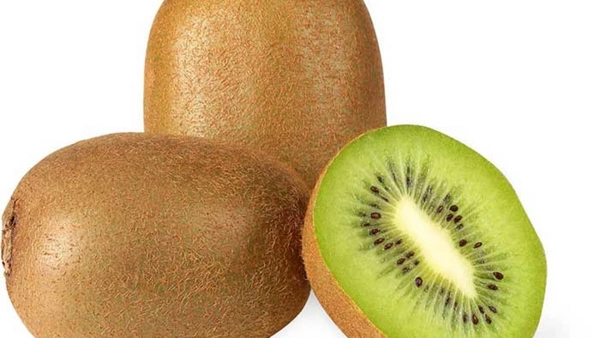 KIWI PK Of 3Pc