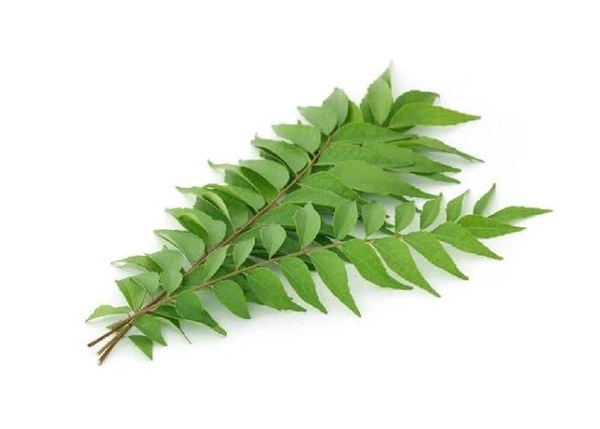 CURRY LEAVES - 50Gm