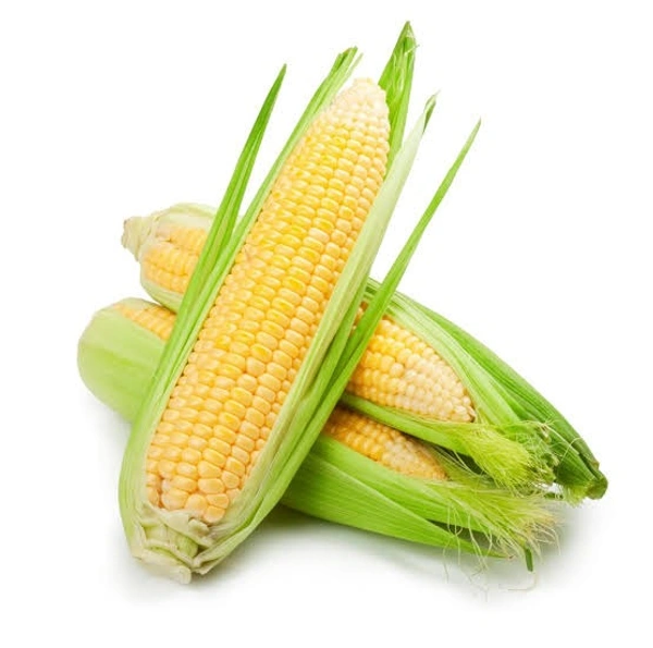 AMERICAN CORN / BHUTTA - 1kg