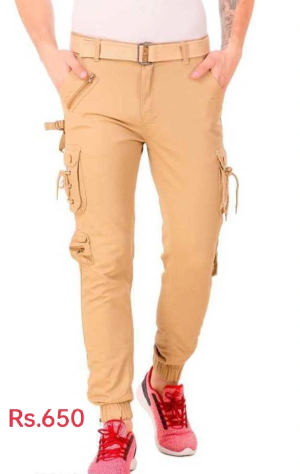 Cargo Pants for Men - 30 to 38, Pista