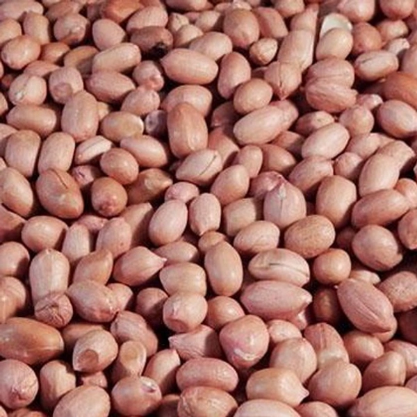  Singdana 500g