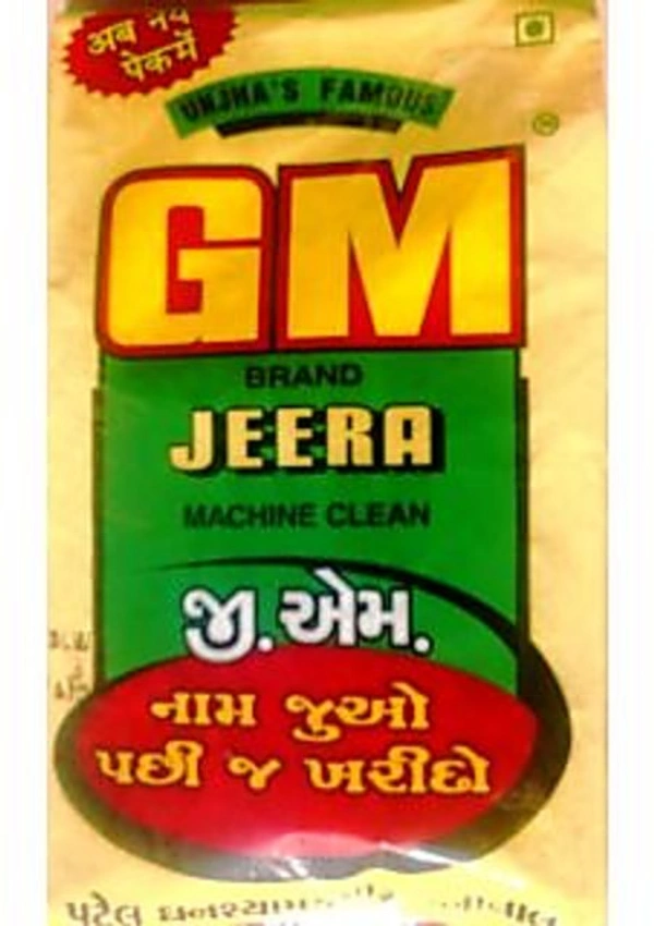 Gm Jeera 500g