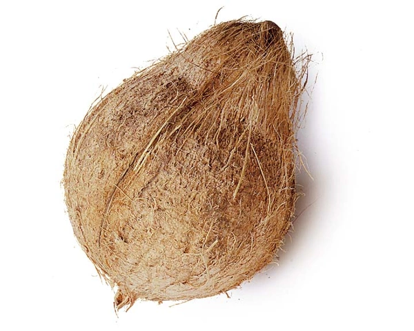 C.H.cholela Shreefal 1n