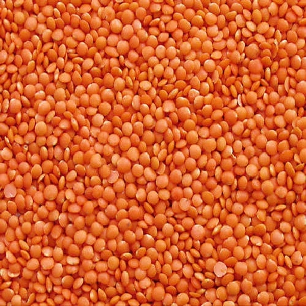 P M Organic Natural Masoor Dal - 1kg