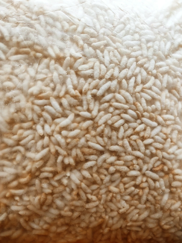 Sona Muri / Murmura - 500g