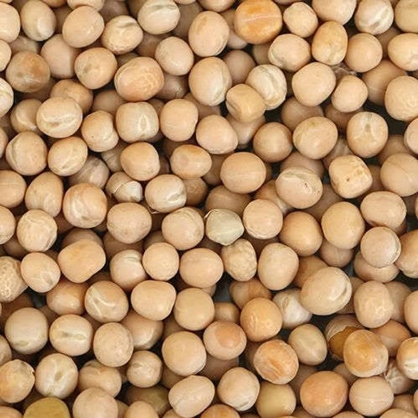 P M Dry White Peas / Matar - 1kg