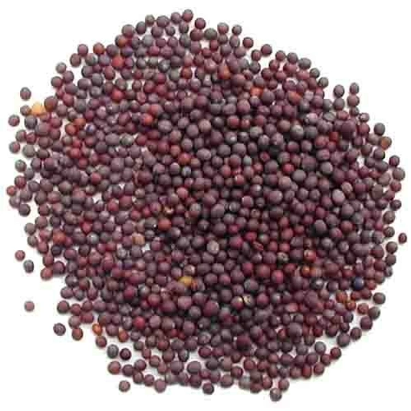 P M Black Mustard Seed Sorse - 100g